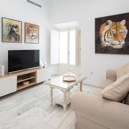 Apartamento Animalia Cádiz Exteriér fotografie