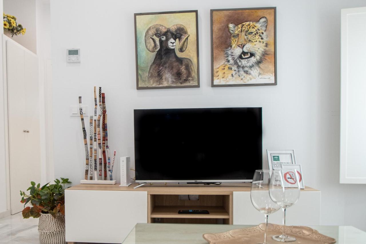Apartamento Animalia Cádiz Exteriér fotografie