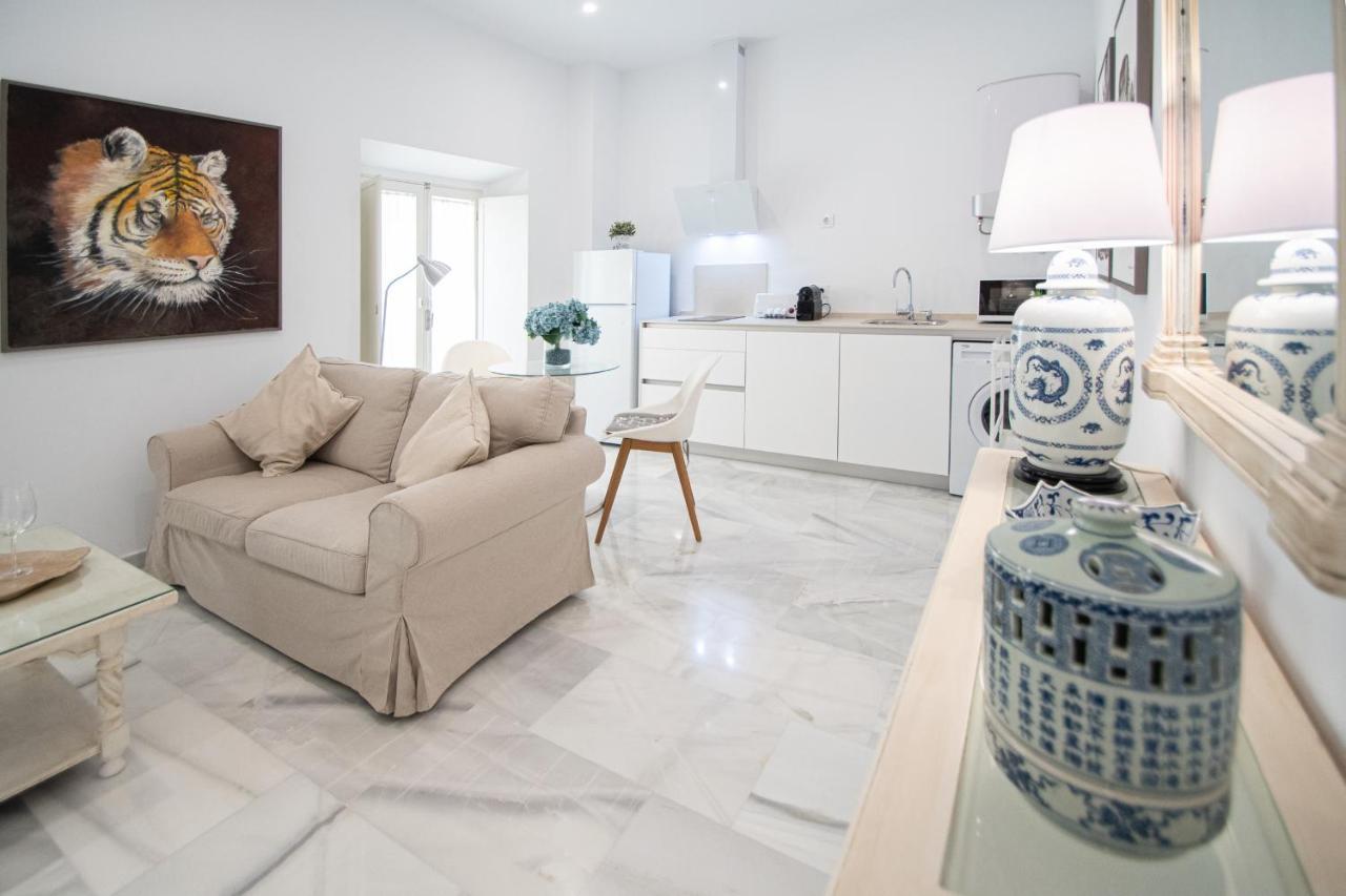 Apartamento Animalia Cádiz Exteriér fotografie