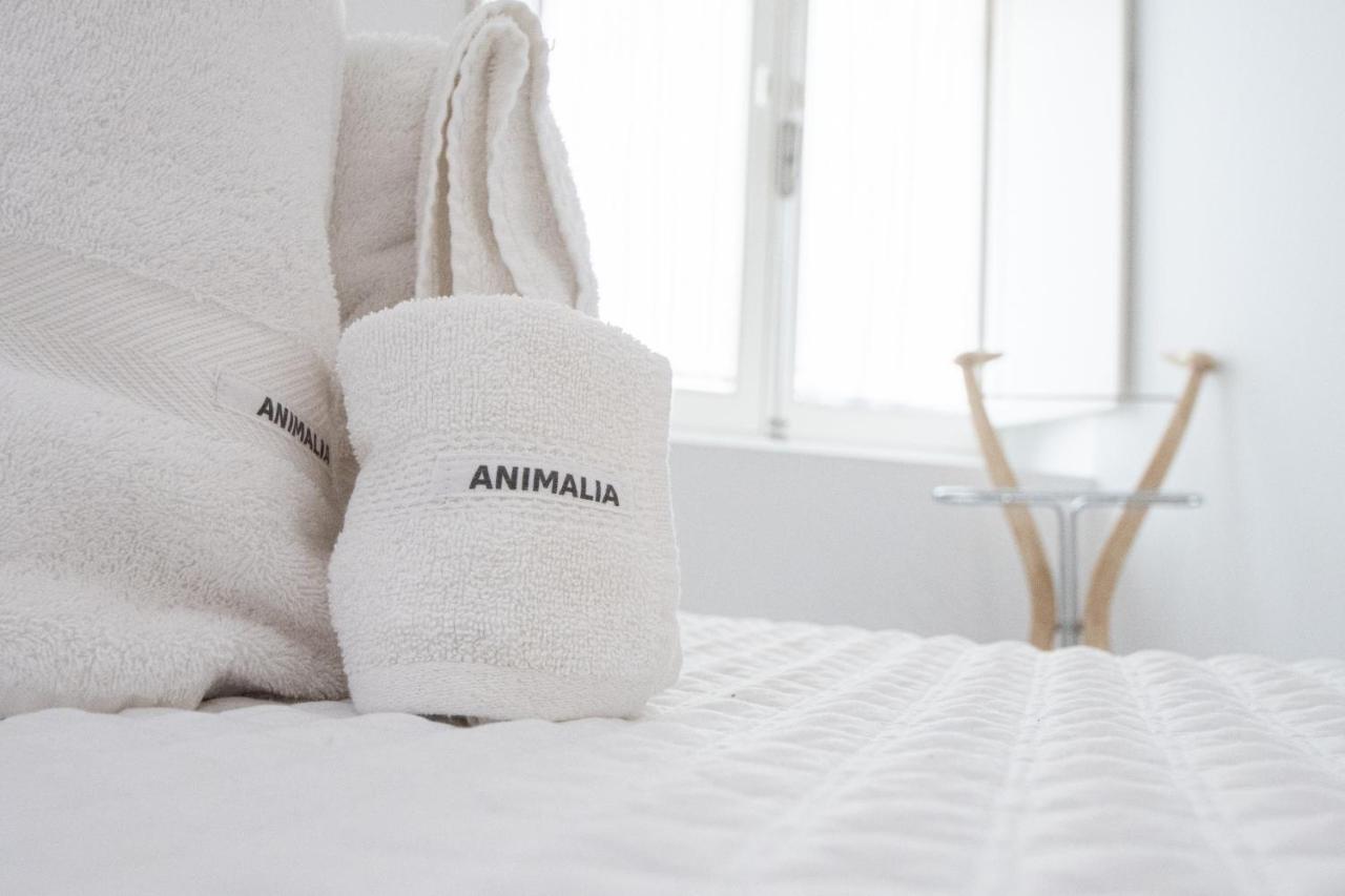 Apartamento Animalia Cádiz Exteriér fotografie