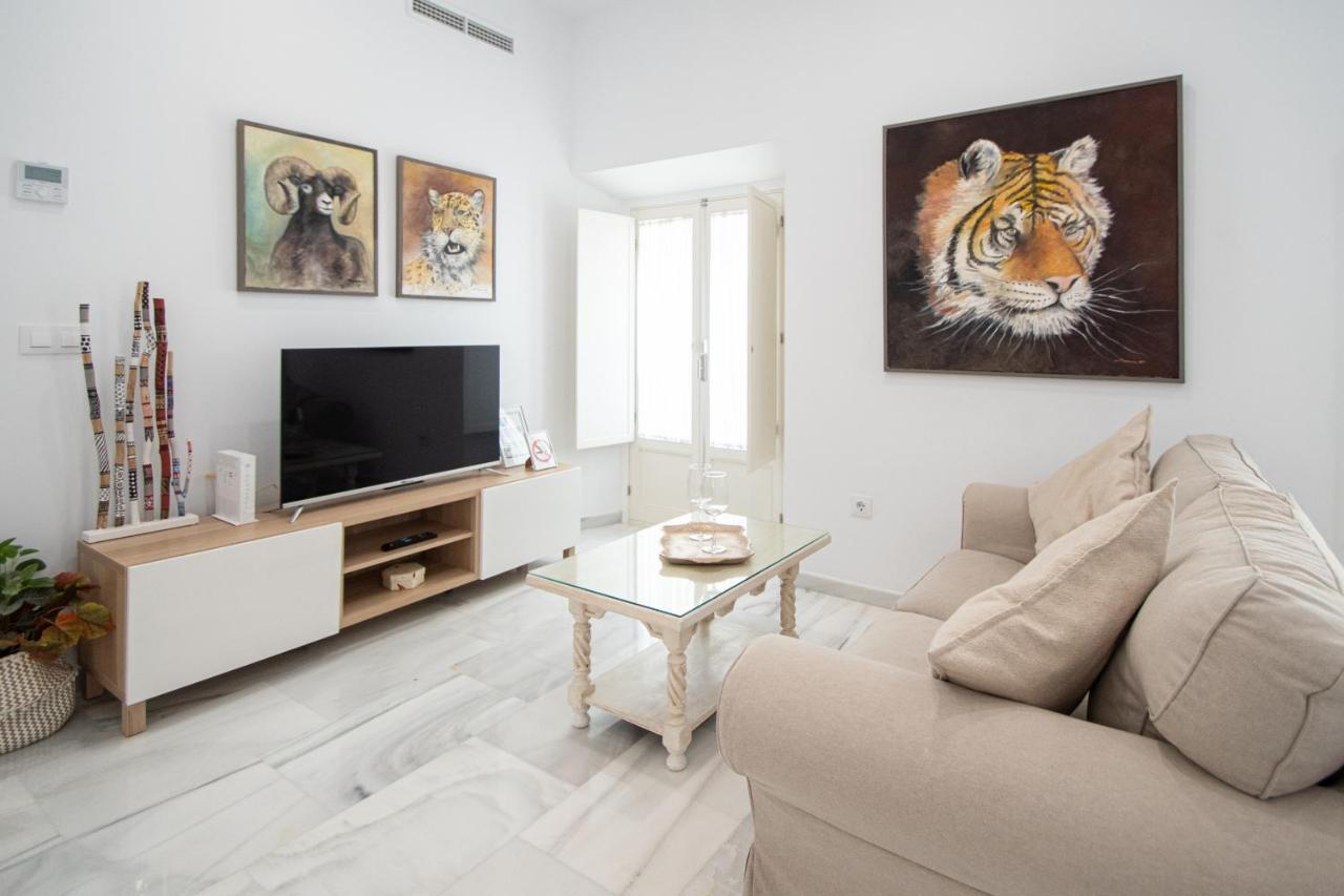 Apartamento Animalia Cádiz Exteriér fotografie