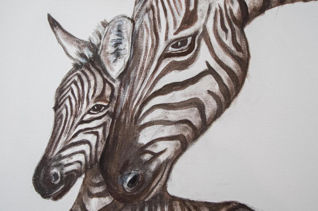 Apartamento Animalia Cádiz Exteriér fotografie